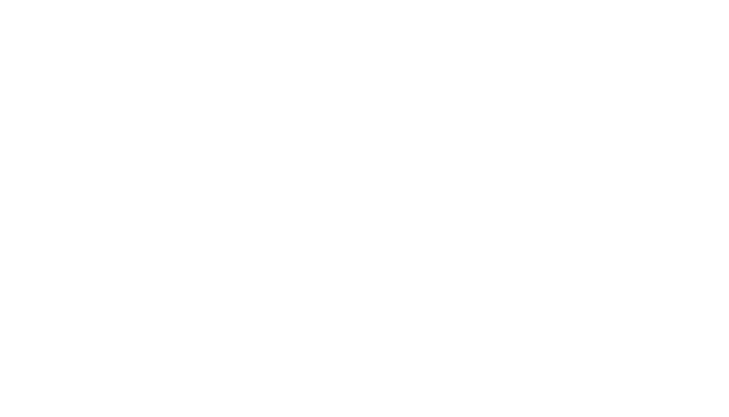 Dr. Mauro Kwitko